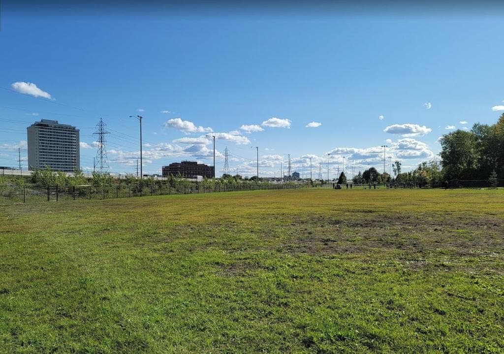 A view of Hampton Park Dog Run. An off-leash dog park located in Ottawa.